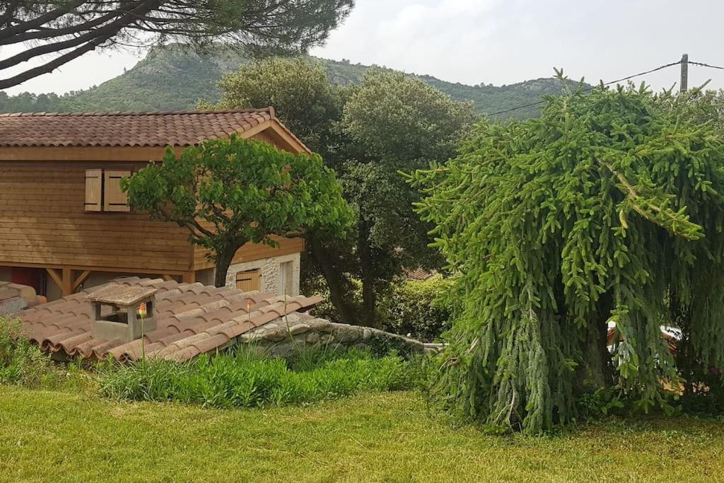 A L'Ombre Du Chene Gites Eden En Cevennes Anduze Exterior photo