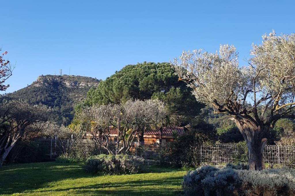 A L'Ombre Du Chene Gites Eden En Cevennes Anduze Exterior photo